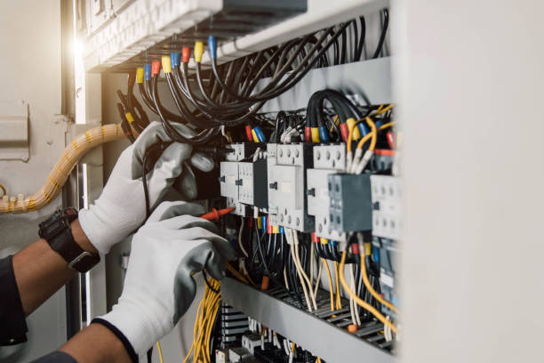 Best Electric Panel Repair  in Hawaiian Paradise Park, HI